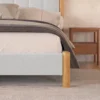 BOLNO BED